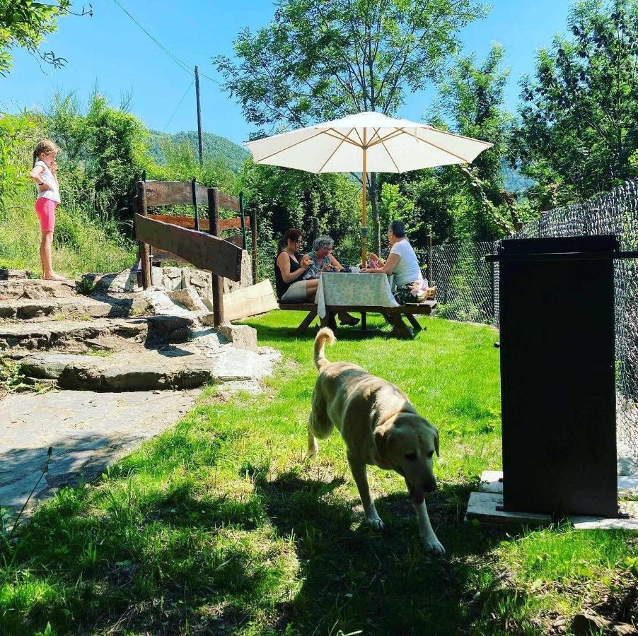 La Cabanya De Planes Un Petit Gran Espai Casa rural
