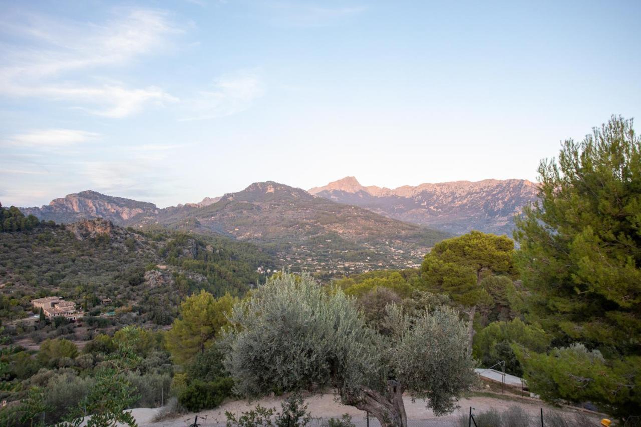 Olivar De S'heretat Trekking/ruta Gr-221