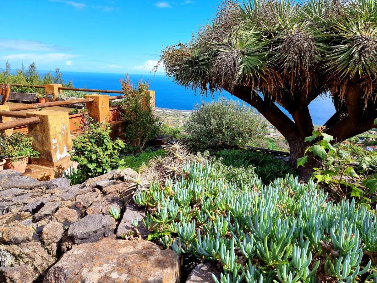 Holiday home Sabina Villa de Mazo