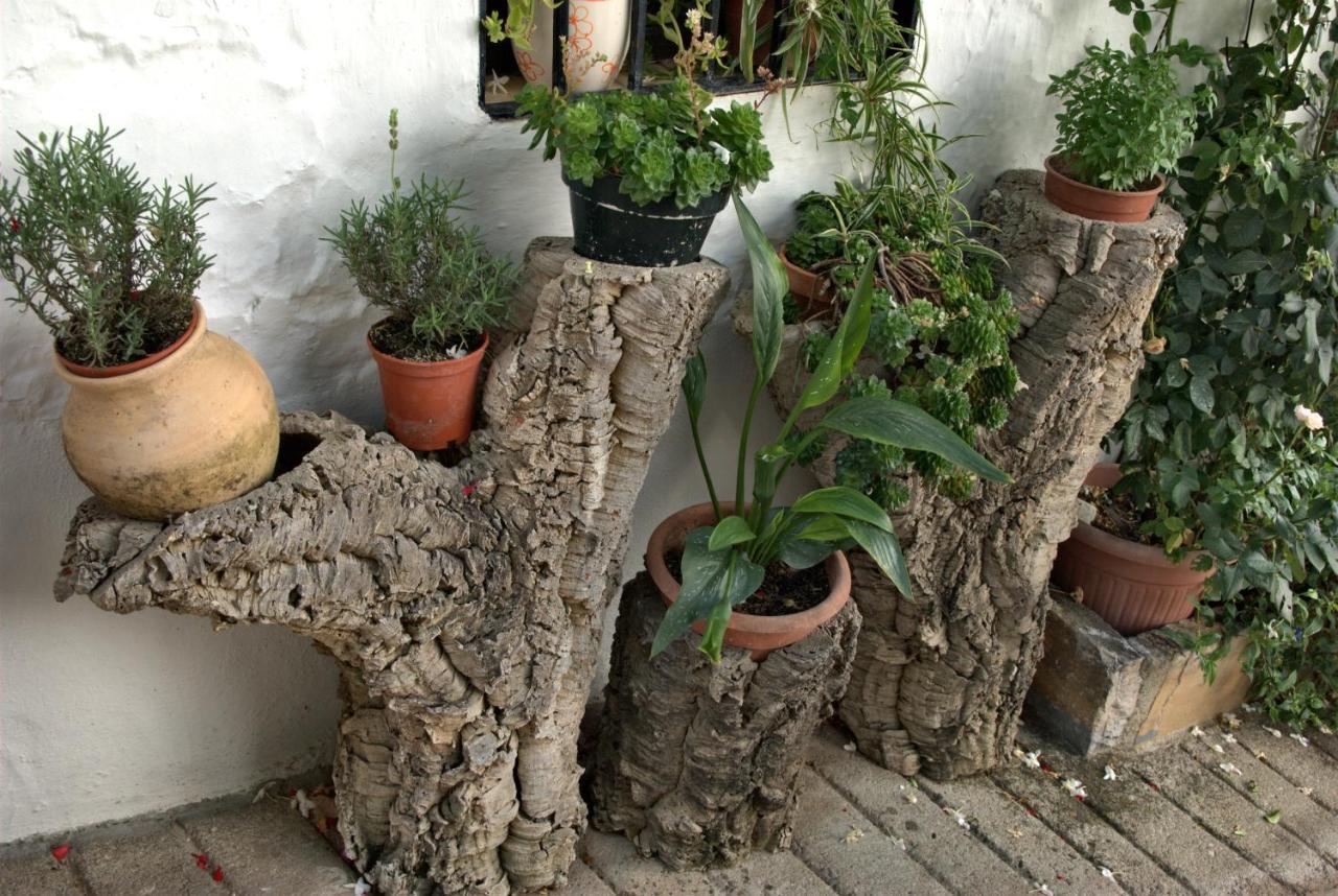 Holiday home Cruzchiquita Alpandeire