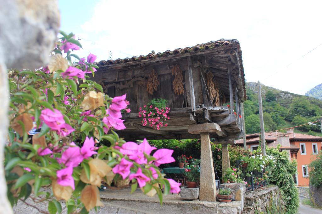 El Colladin Country house
