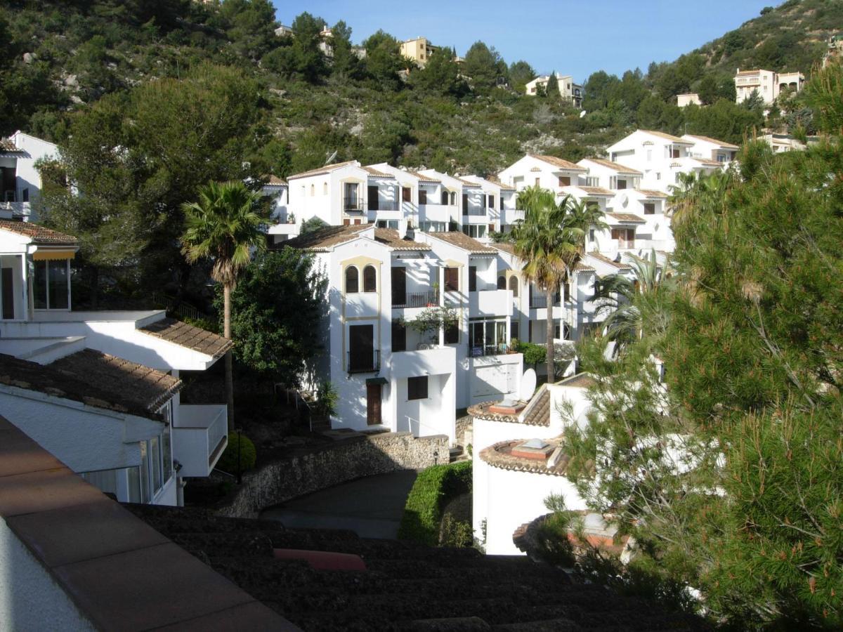 Buganvilla *