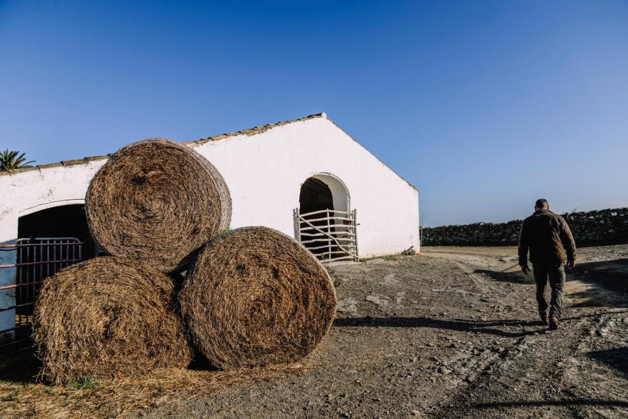 Casa Rural Reformada Bini Aumaia Casa rural *
