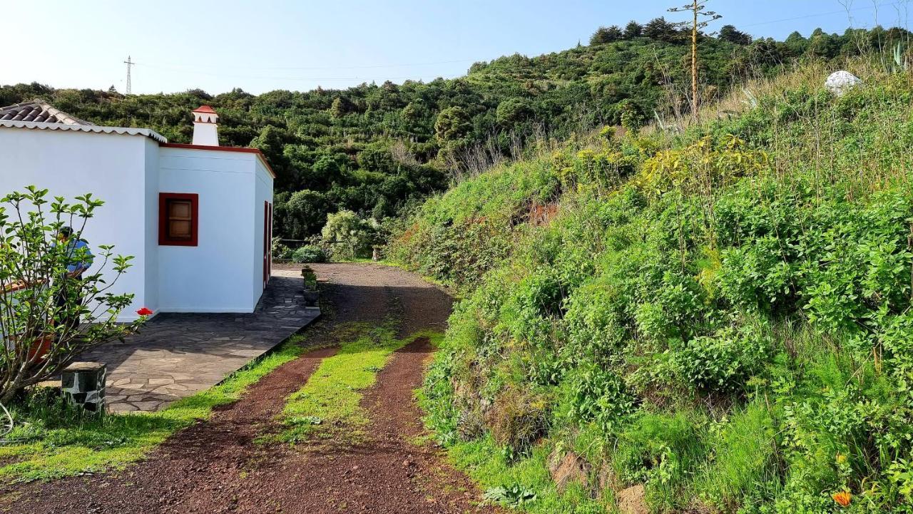 Neólida