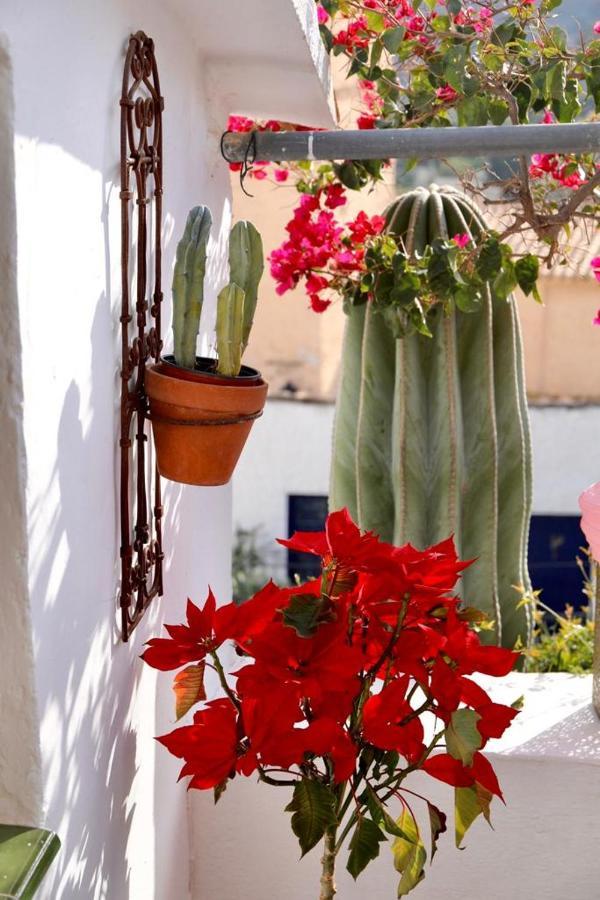 Bed and breakfast Casa Caballito De Mar Boutique