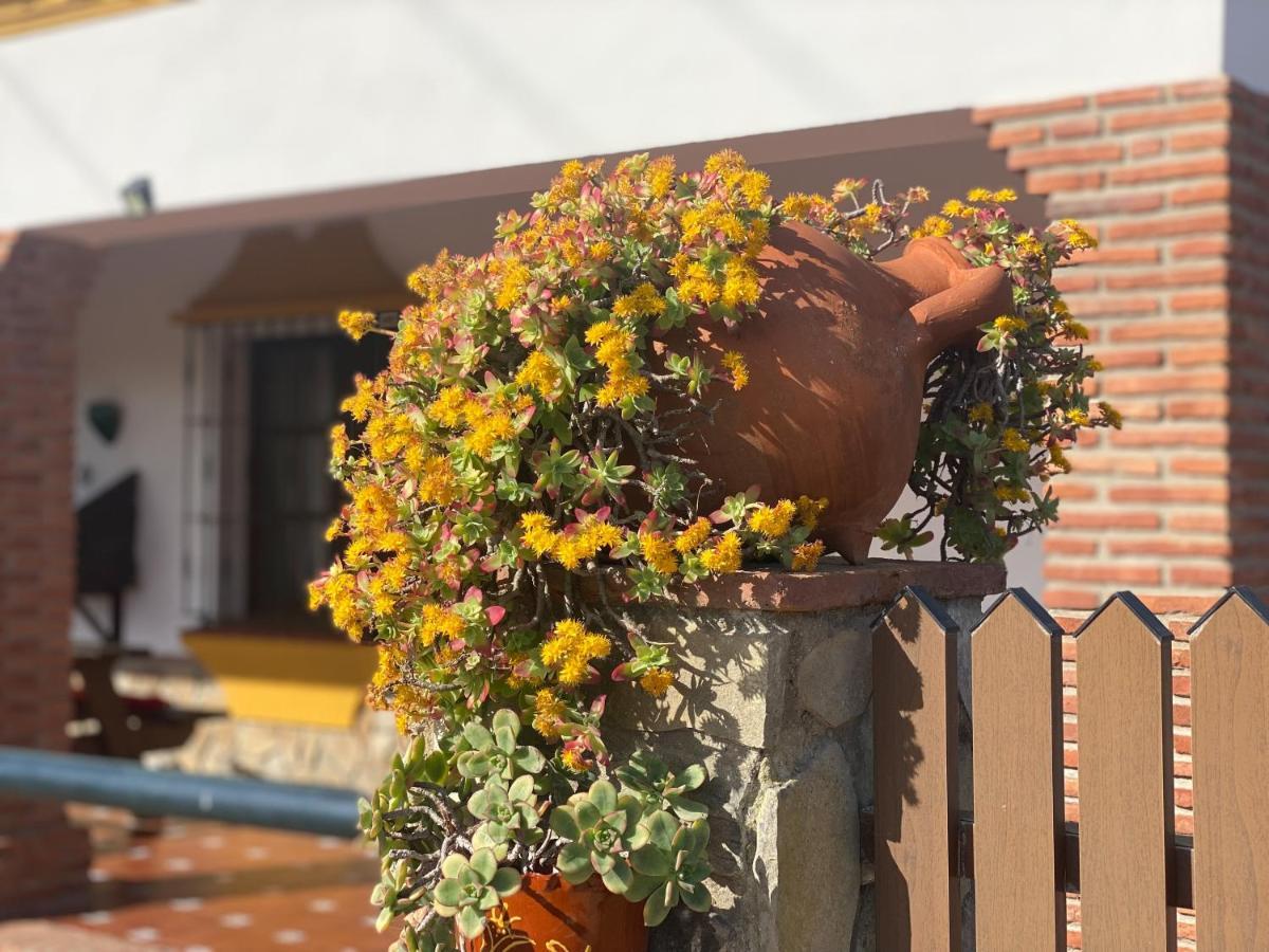 Casas Guemon Country house Zahora