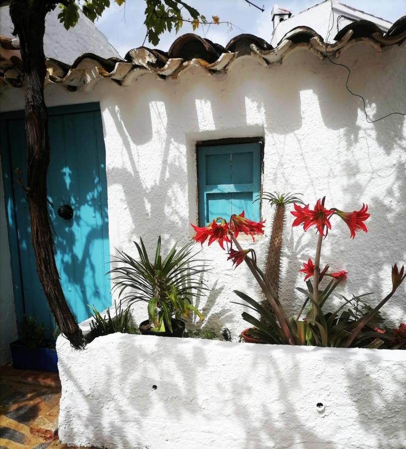 Casa Caballito De Mar Boutique Bed and breakfast Bédar