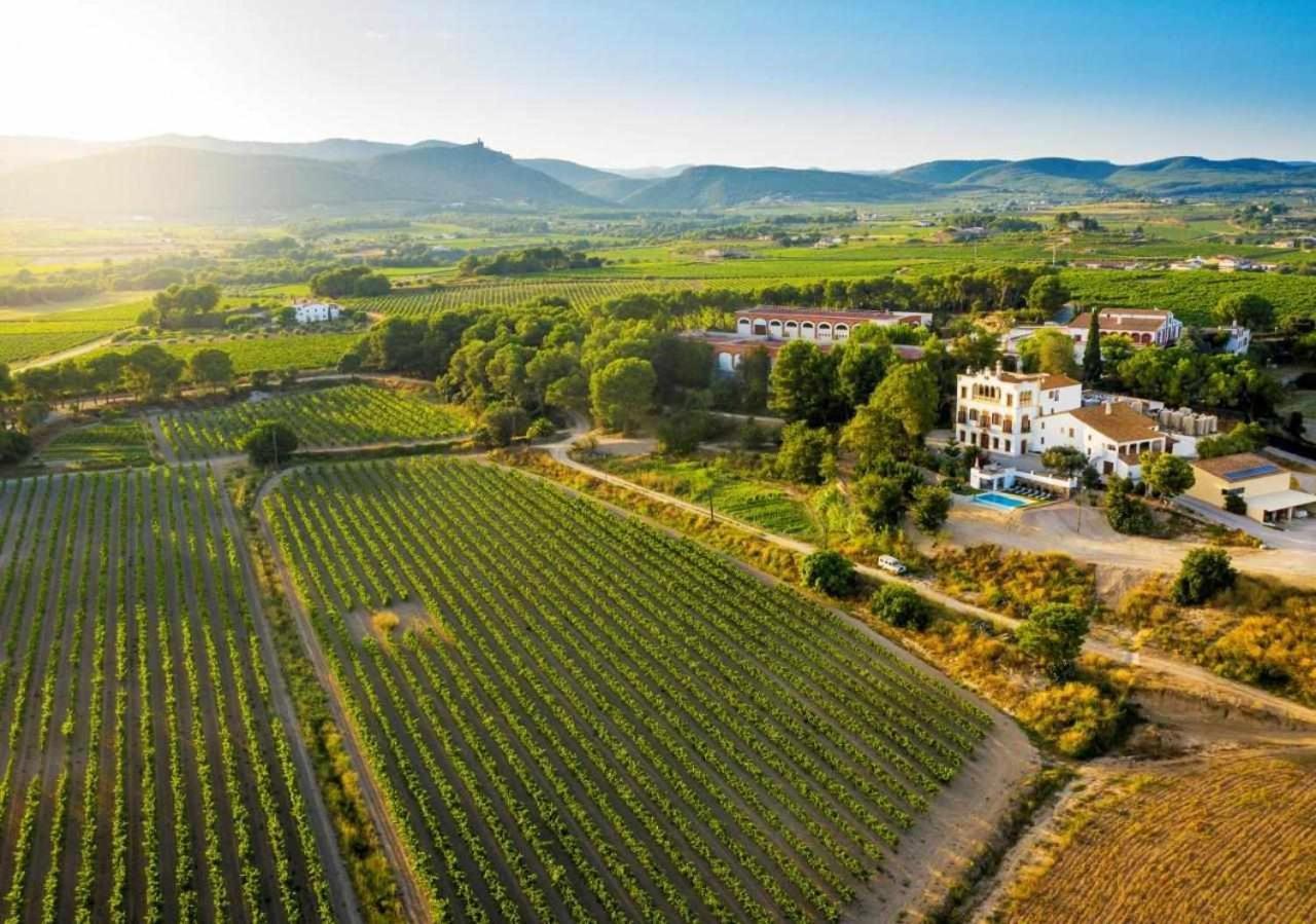 Bed and breakfast Bolet Casa Modernista