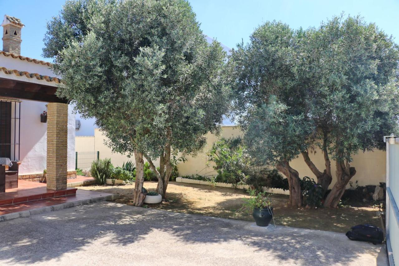Chaparrillo Conil Chalet *