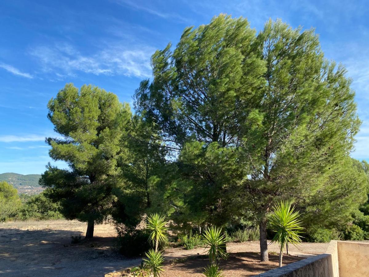 Restaurante Rural Cau Blanch 3* Vall dʼAlba