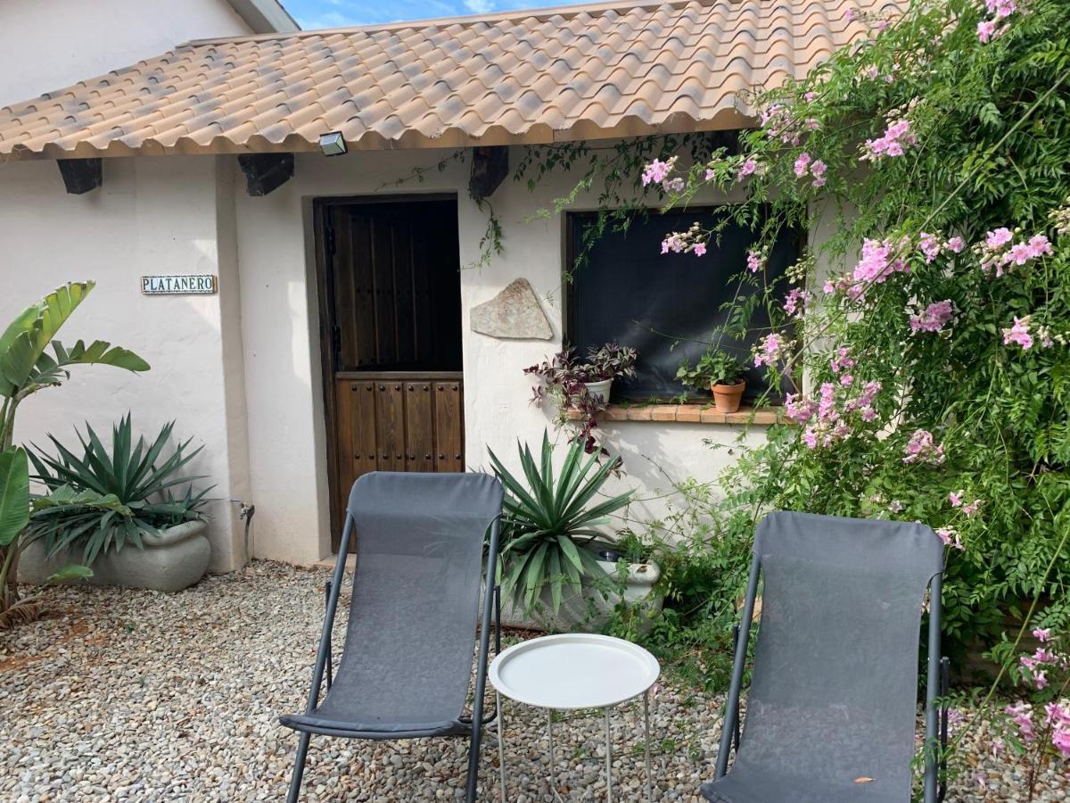 Finca Filpi Guest house