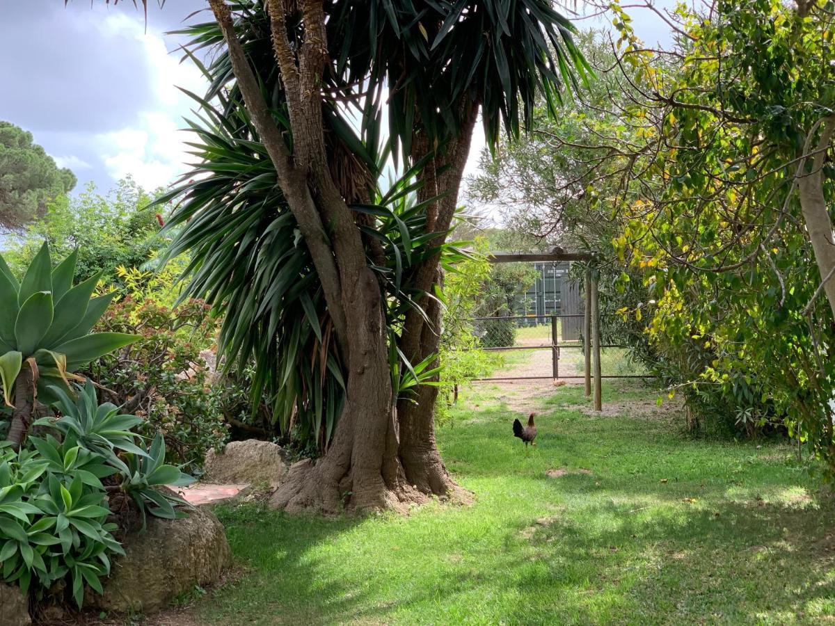 Guest house Finca Filpi *
