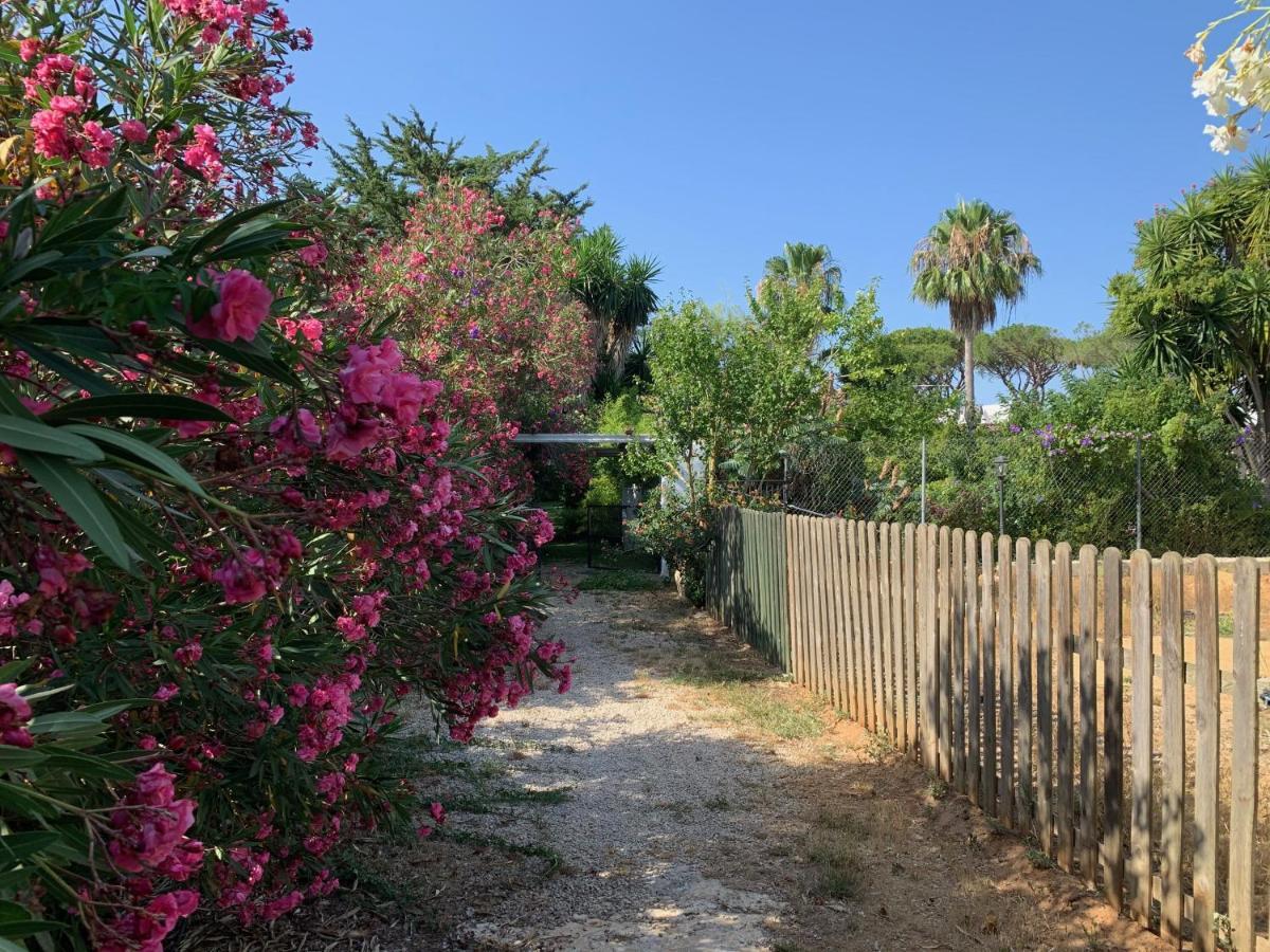 Finca Filpi