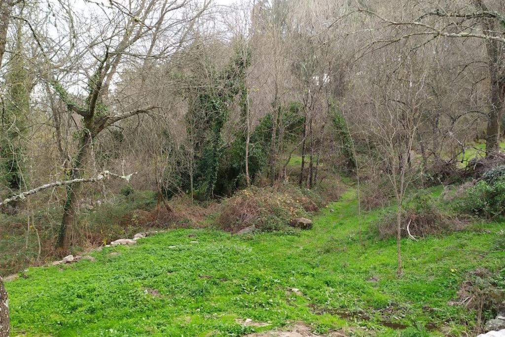 Holiday home Molino Mellado