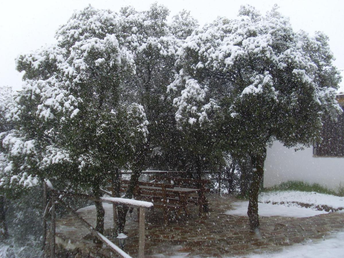 Cortijos El Encinar Torres (Jaen)