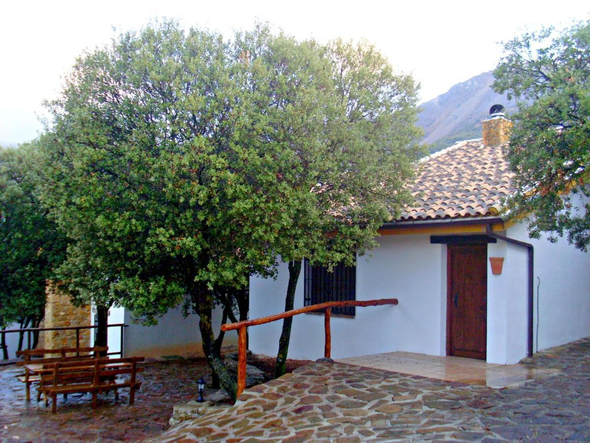 Cortijos El Encinar