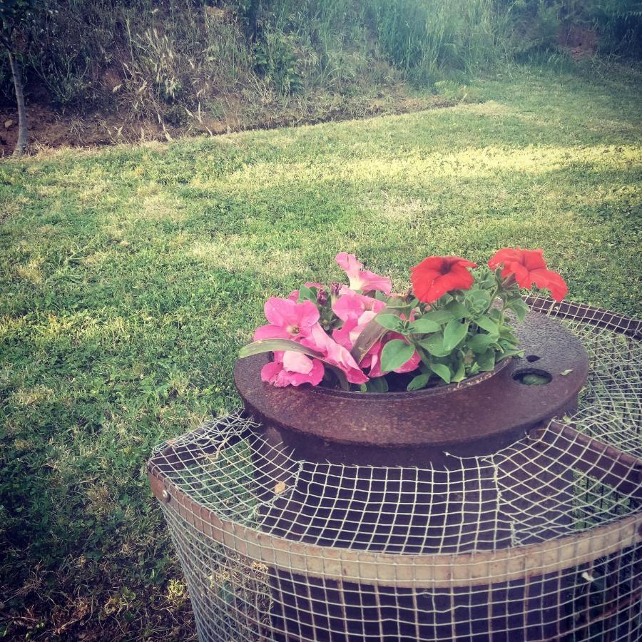 El Arroyo Holiday home Sotoserrano