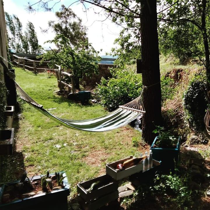 El Arroyo Сasa de vacaciones *