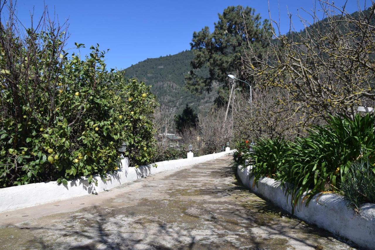 Juli Apartamento Santa Cruz de Tenerife