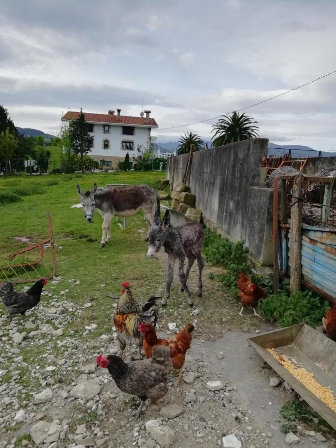 Pagoederraga Farm stay *