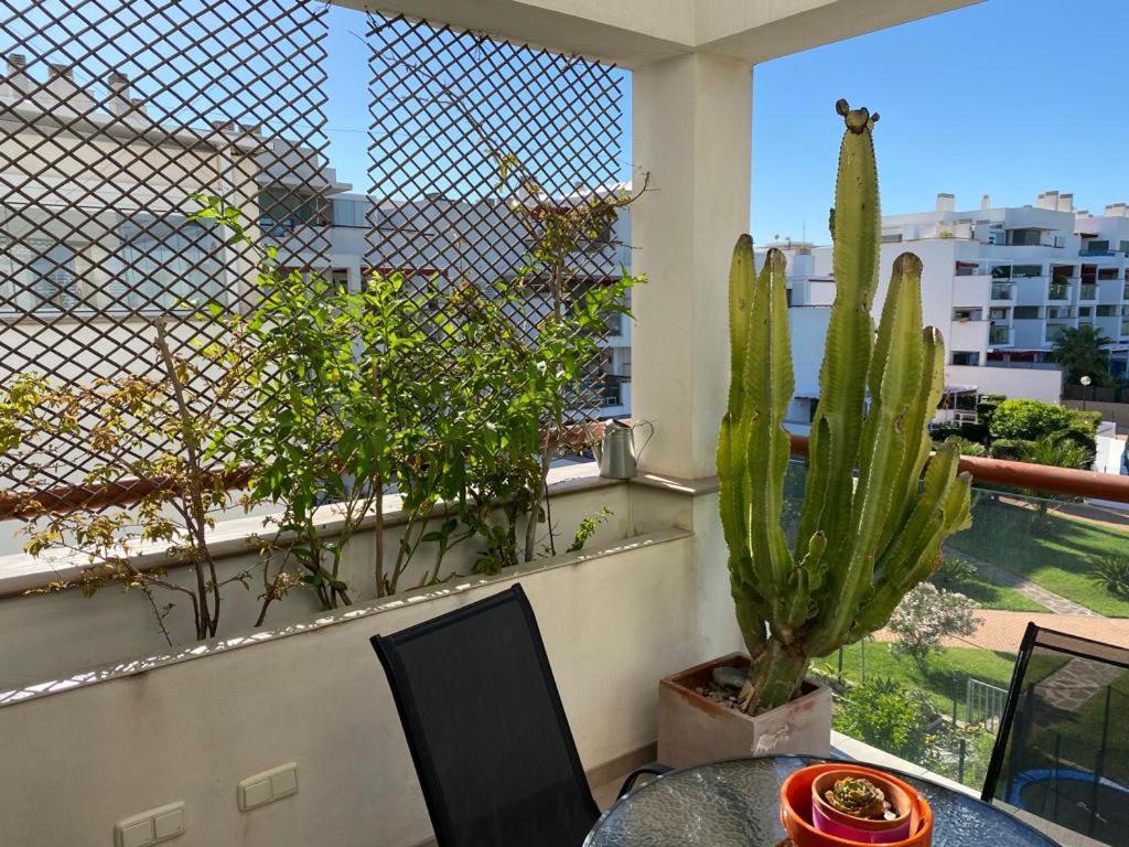 Apartamento Cabo De Gata-toyo Retamar (Almeria)