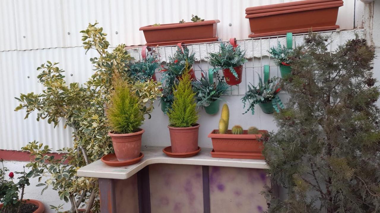 Apartamento La Terraza *