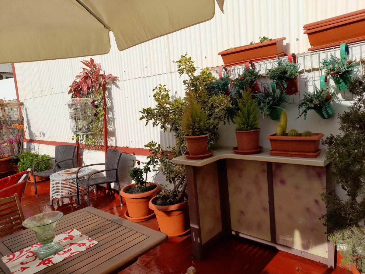 La Terraza Apartamento Vinarós