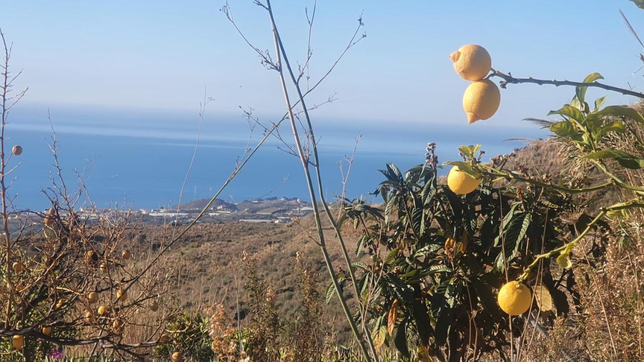 Esperanza Costa Del Sol