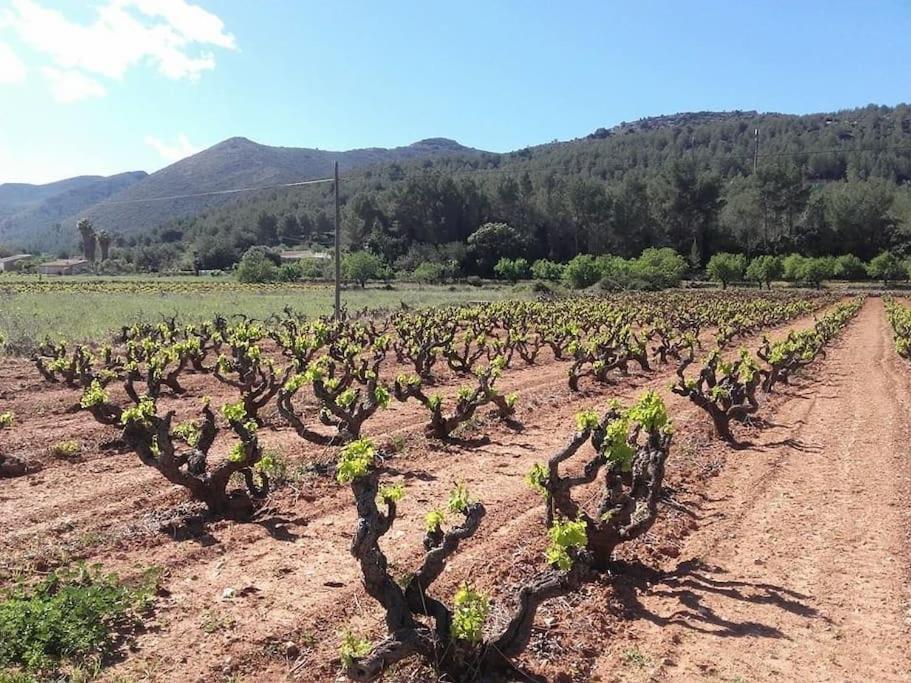 One Bed Overlooking Jalon Valley, Costa Blanca