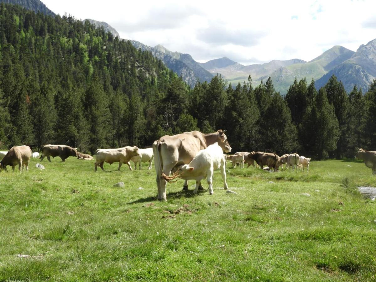 Apartamento Unique Experience - Boí-taüll Pla de l'Ermita
