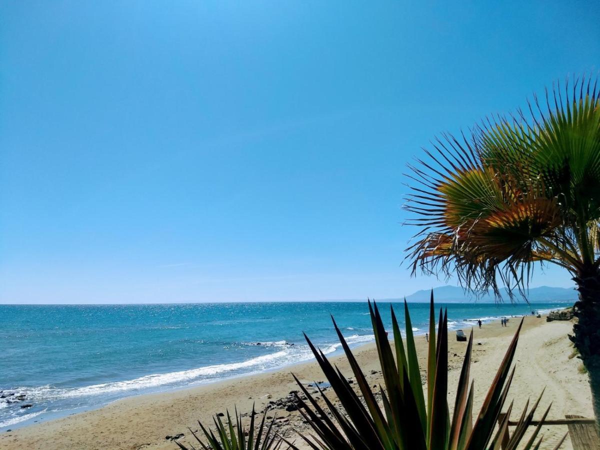 Estudio Con Piscina Junto A La Playa De Canas Apartment *