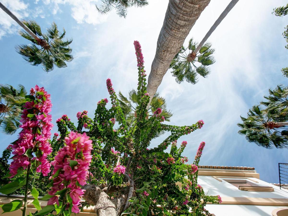 Apartamento El Patio Dénia