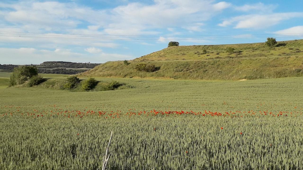 El Pajar De Ciguñuela Сasa de vacaciones