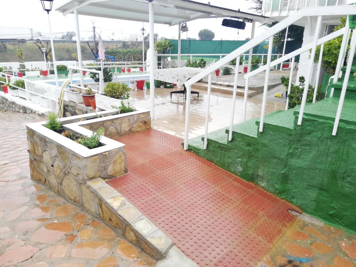Rosales Puerto Lápice