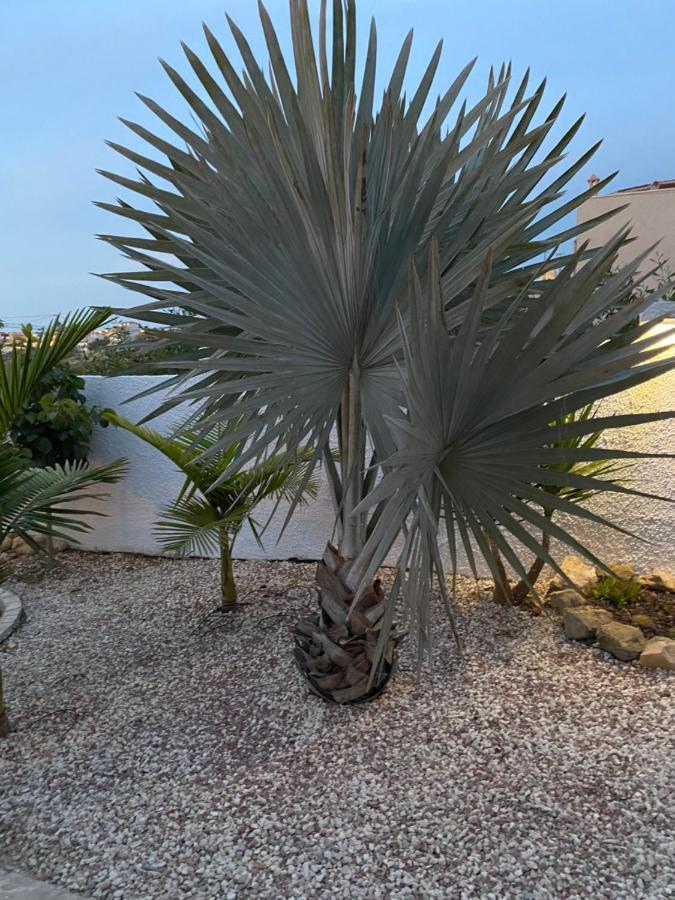 Villa Casa Di Paddy Ciudad Quesada