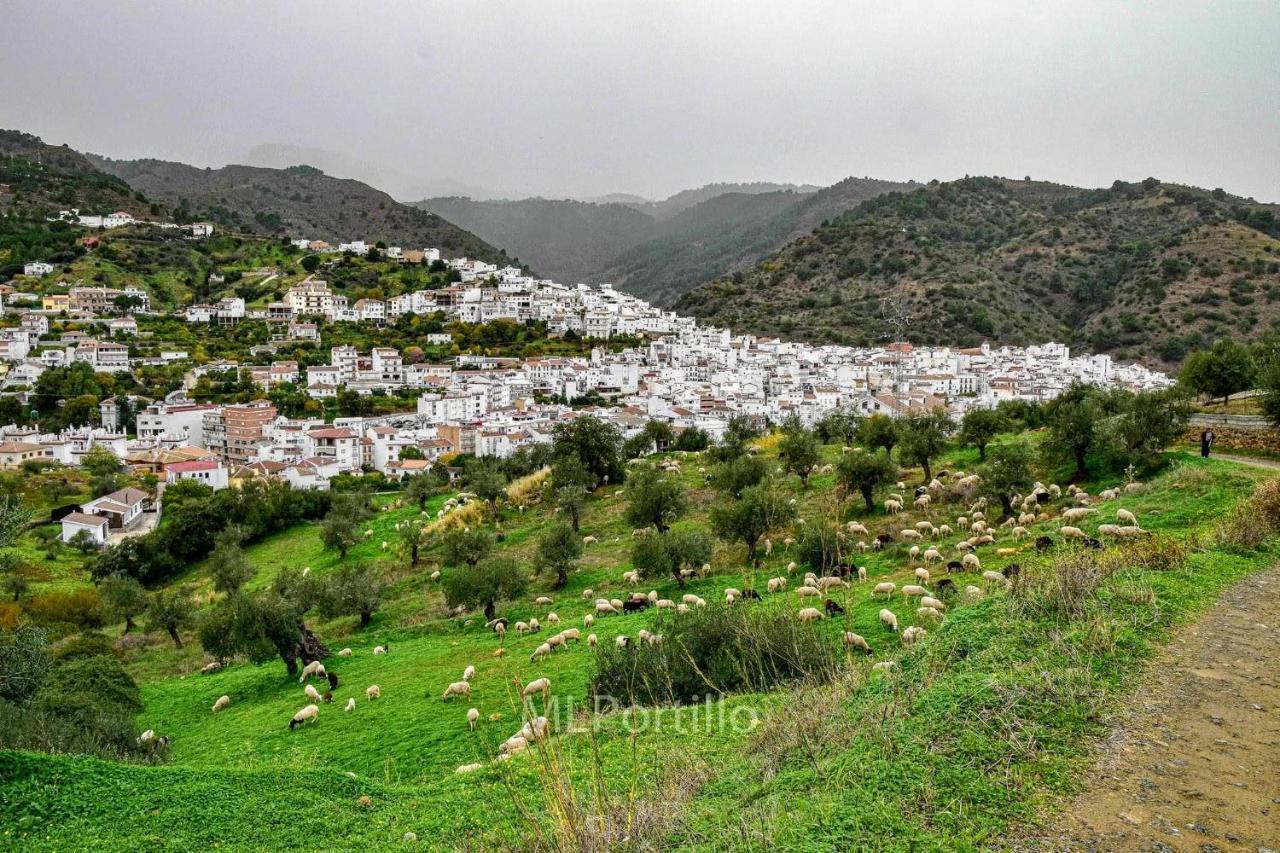 Casa Merengue