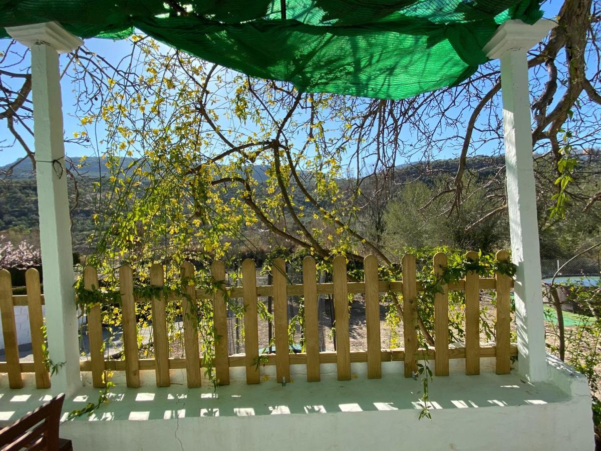 La Huerta Del Castillo Con Su Caz De Agua - Enjoy Life & Relax