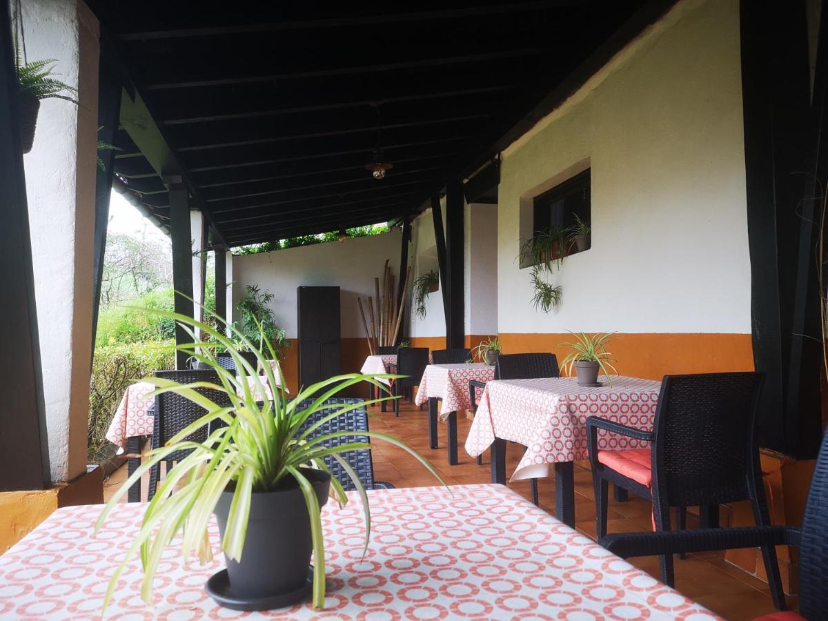 Farm stay Olaskoaga Goikoa