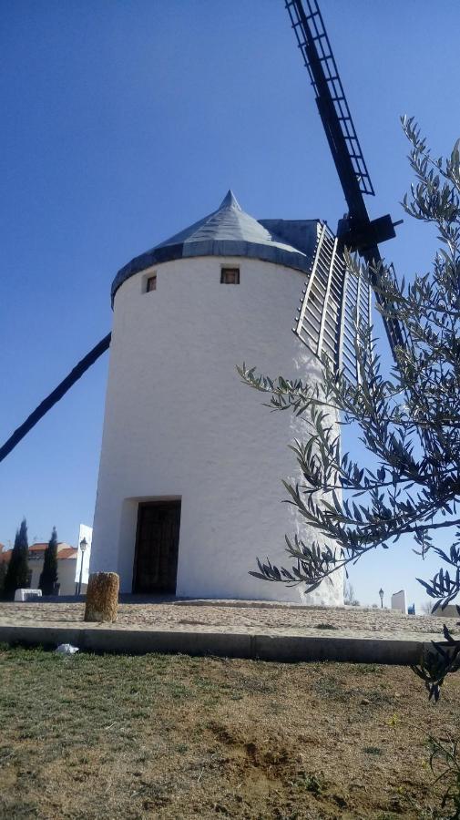 Сasa de vacaciones Vivencias 10 Personas Al Pie De Molino Manchego. *