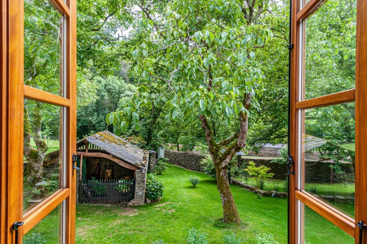 Casa rural La Pousada De Boimouro Piantes