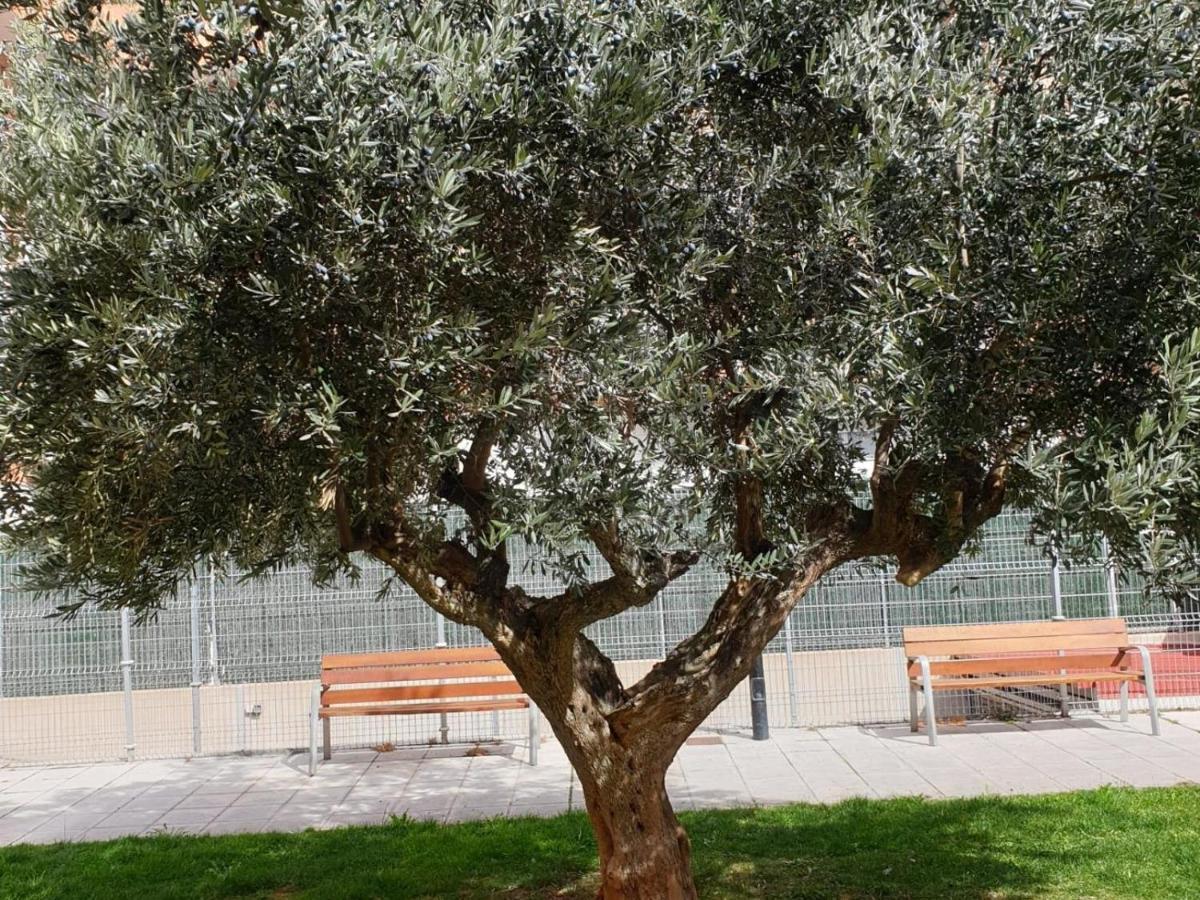 Los Olivos Con Piscina A 5km De Apartment *