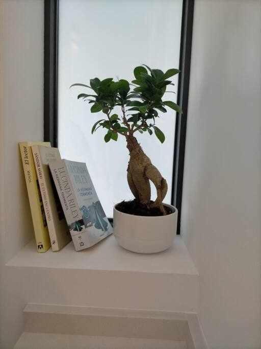 Acogedor En La Playa De Apartamento