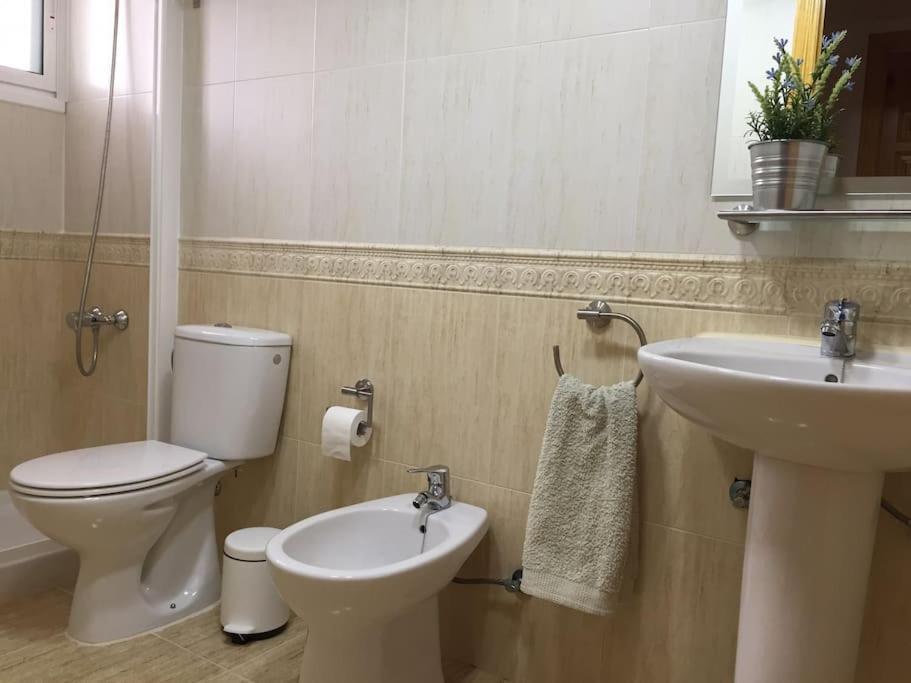 Cp Apartment
