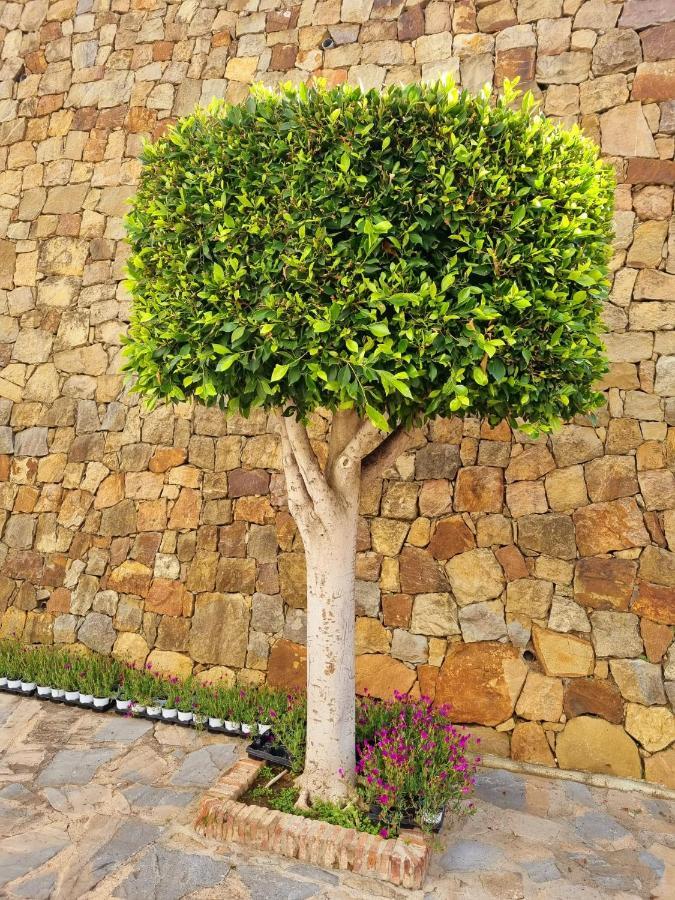 In Marbella, Eagles Village. La Quinta. Apartamento *
