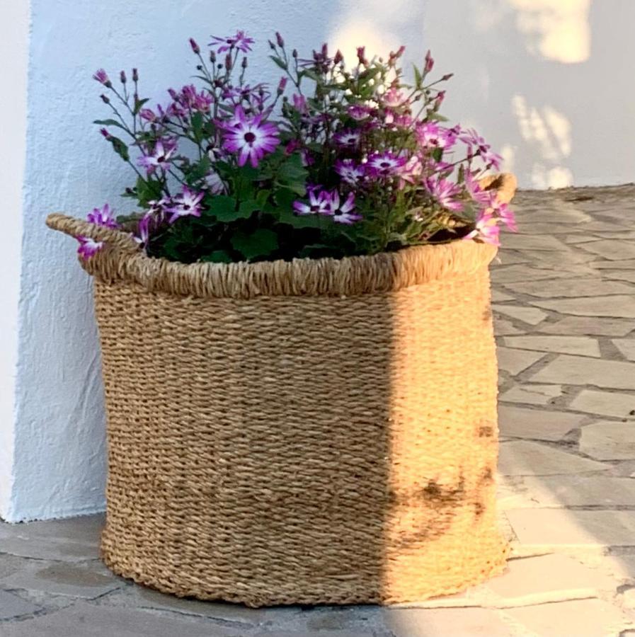 Cortijo La Fe