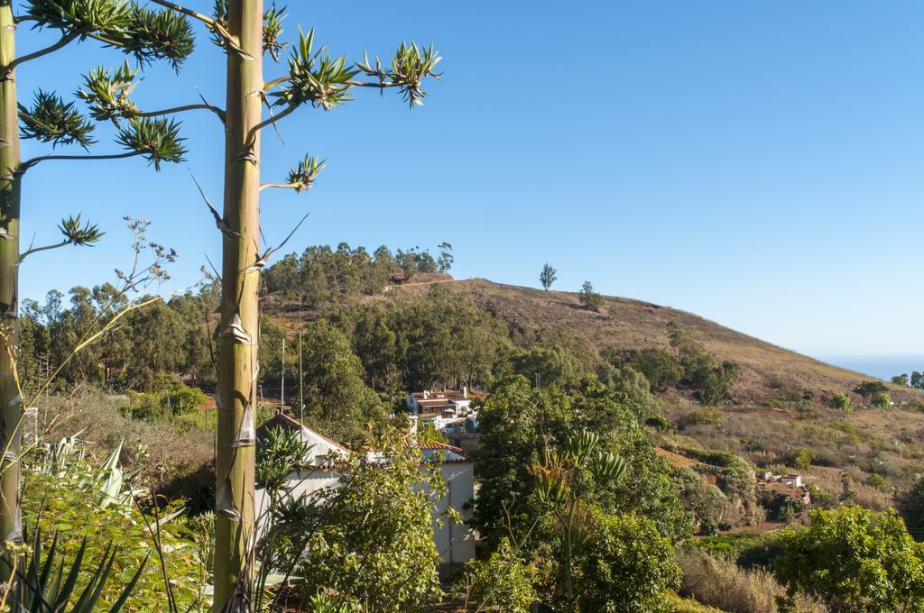Bermejales *