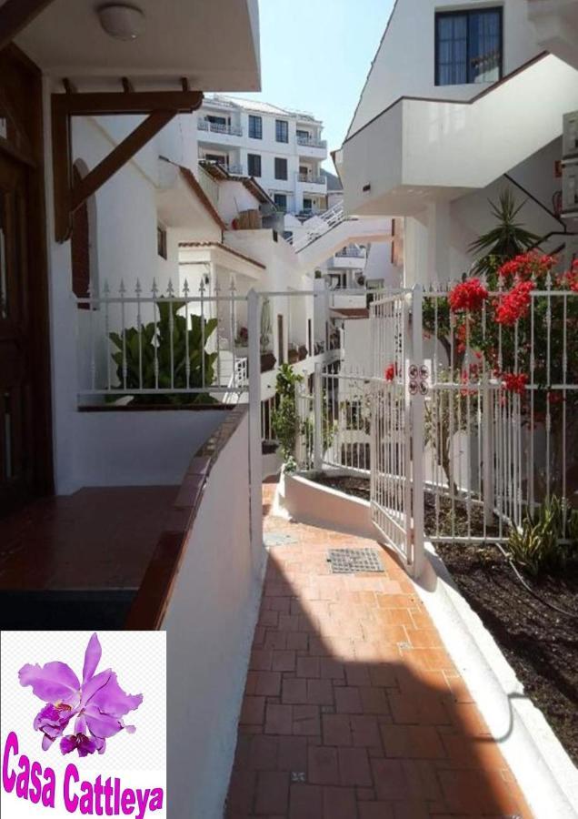 Apartment Casa Cattleya Los Cristianos (Tenerife)