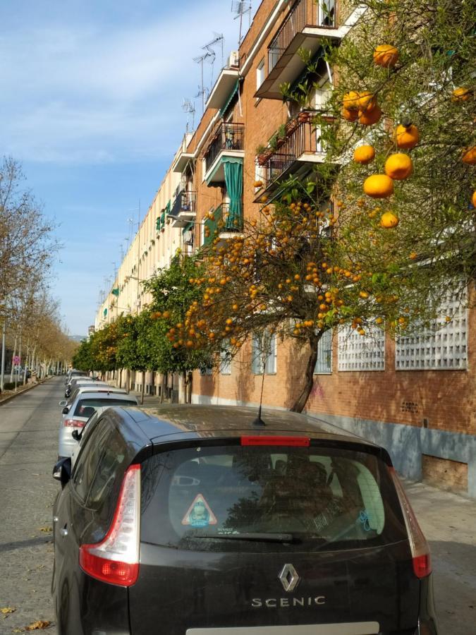Apartment Apartamento Turistico Cordoba