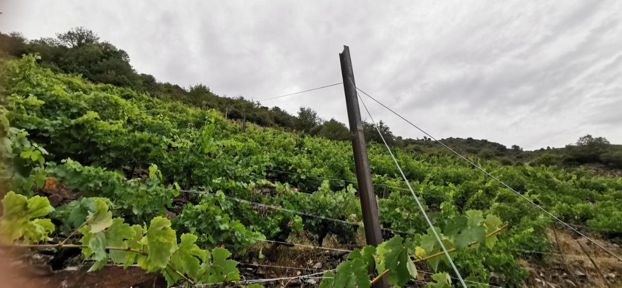 Vina Cazoga Holiday home