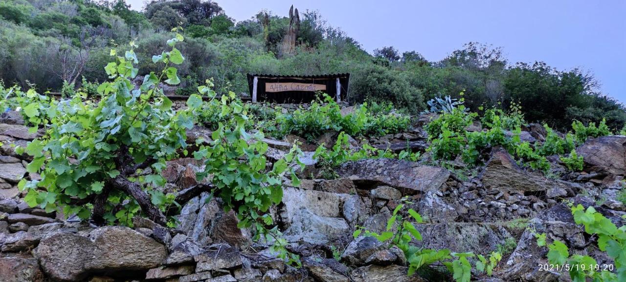 Vina Cazoga Holiday home